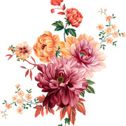 75aed2f0d34842a8351c8a3cb48bb595