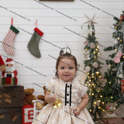 IMG 4217