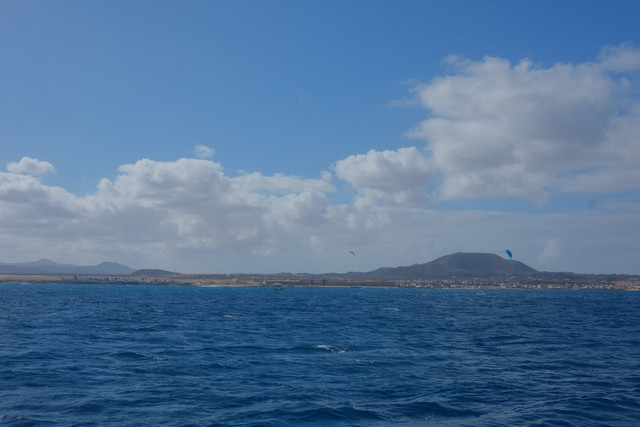 DSCF8646.jpg