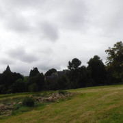DSCF7608