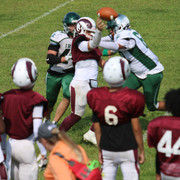 IMG-1441