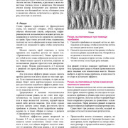 Page-00277