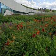 IMG-20200627-190844