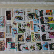 IMG-3725