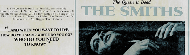 header25.png