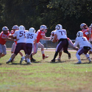 IMG-0559