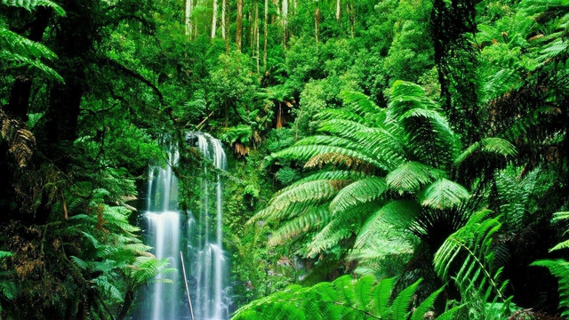 wp4093040-amazon-river-wallpapers