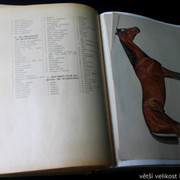 IMG-5398