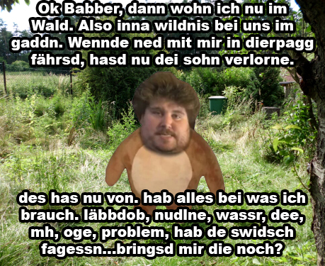wildwingl.jpg
