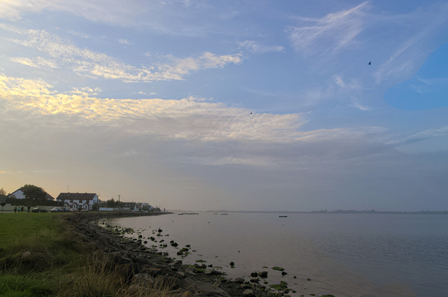 IMGP8219.jpg