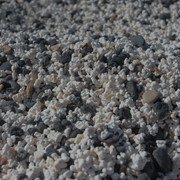 DSCF8273