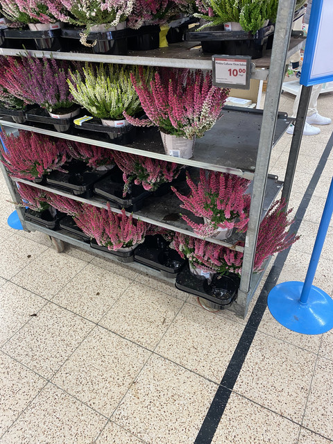 3781-ED1-A-2-B87-4726-A260-B11-B4751906-