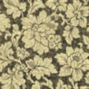 45f498007767