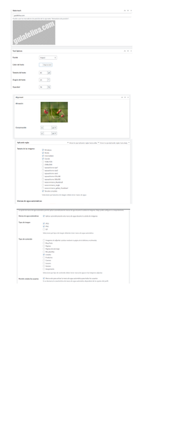 Untitled-design-10