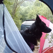 IMG-20220731-081635
