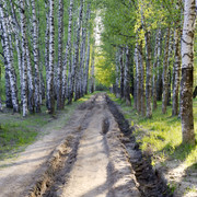 DSC3562