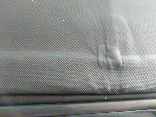 pluridachpatched1.jpg