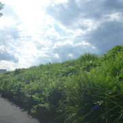 P1330063