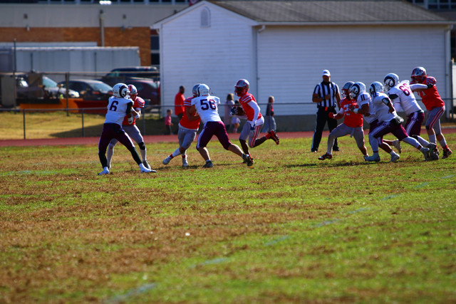 IMG-0528.jpg
