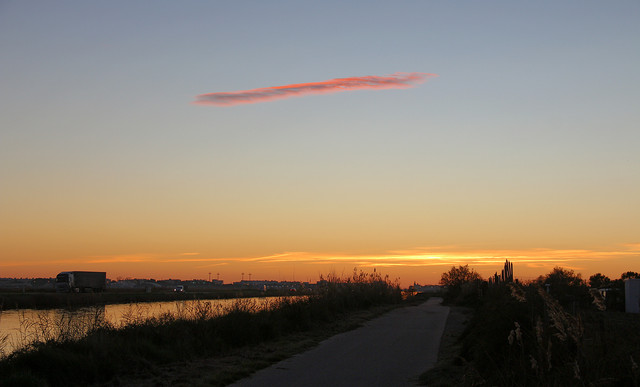 IMG-3630