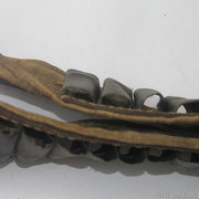 IMG-5152