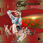 NOVA-CARLA-77
