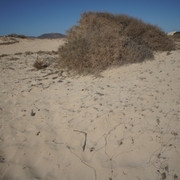 DSC01160