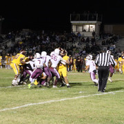 IMG-6619