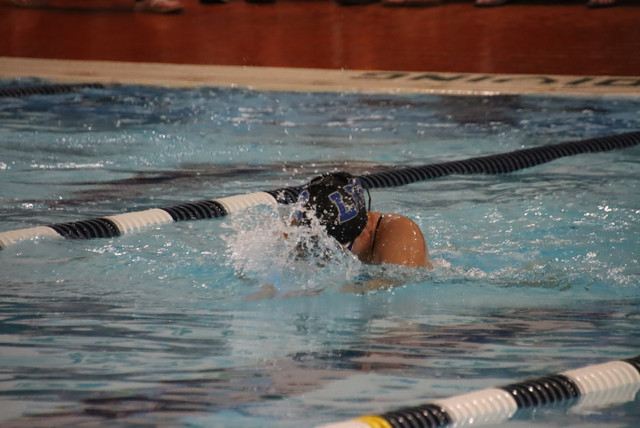 IMG-0217
