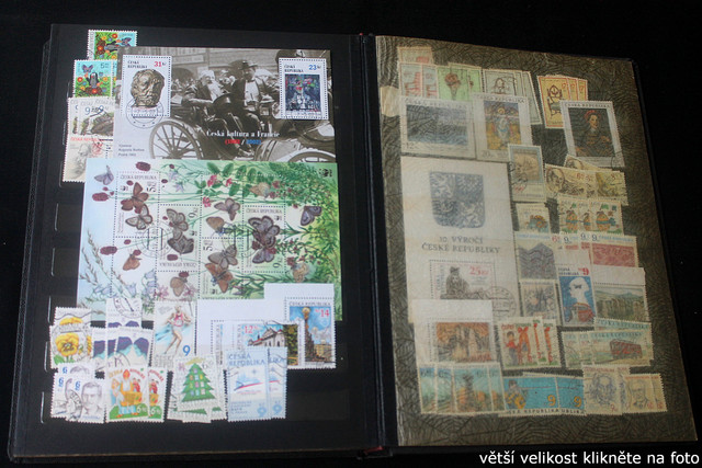 IMG-2436.jpg