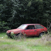 DSC7053
