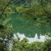 images-2