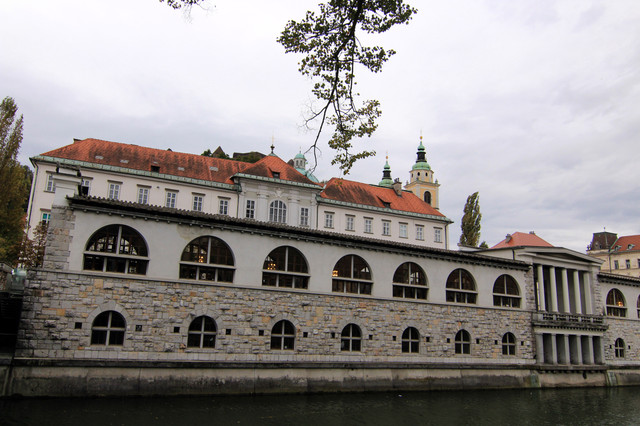 IMG-9993.jpg
