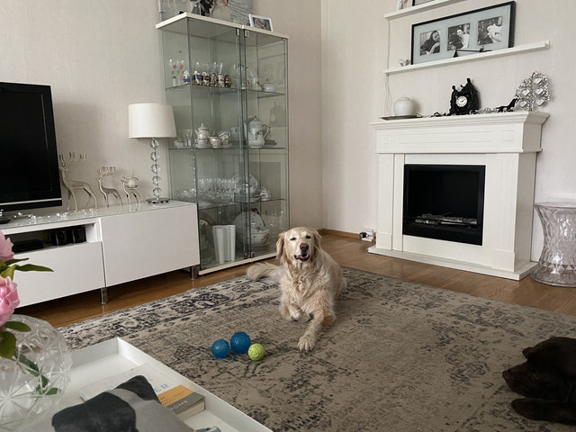 EB2-DEDA0-D5-FA-4-F1-B-81-CA-ED4935-BC31