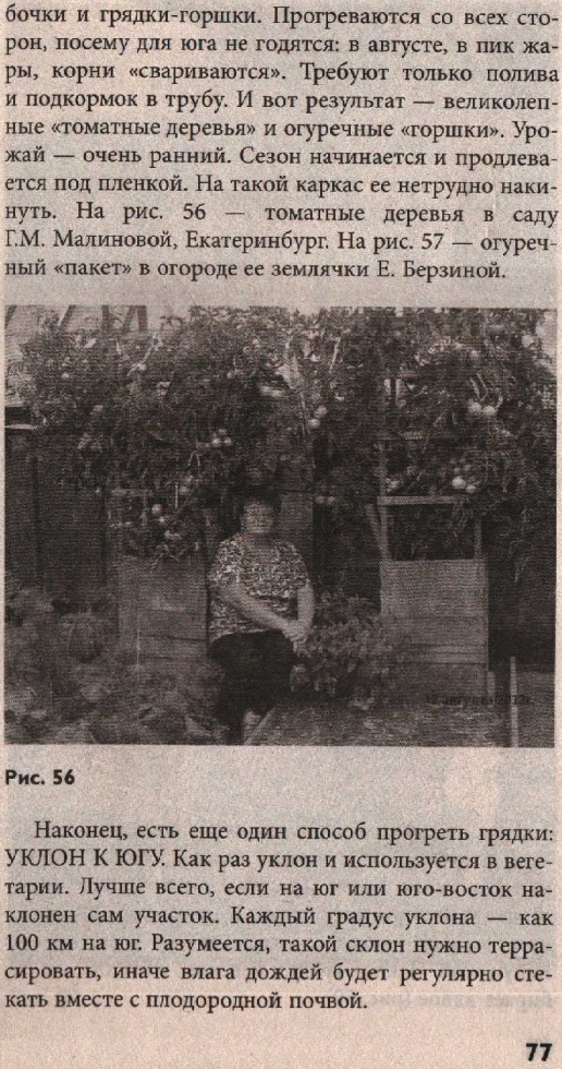 75
