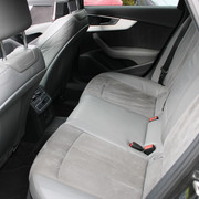 IMG-1537