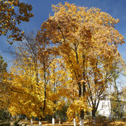 1002a003m