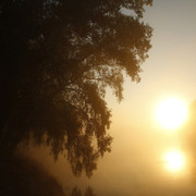 10a00110m1