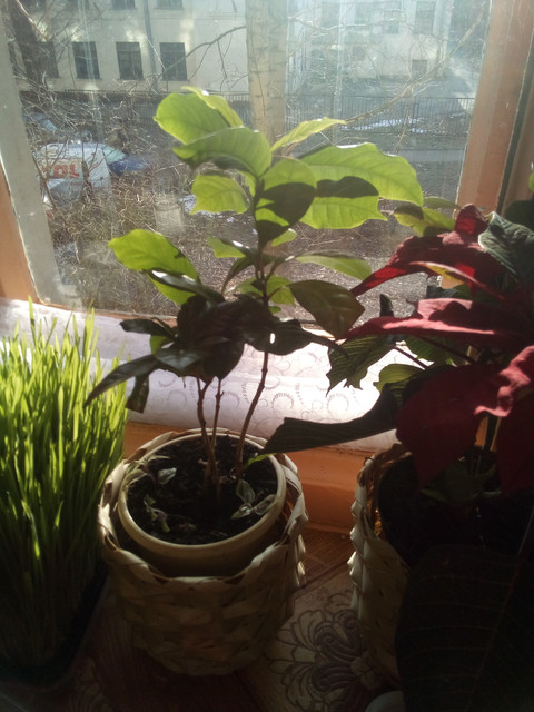 IMG-20220401-085926.jpg