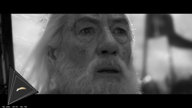 gamut-LOTR30335
