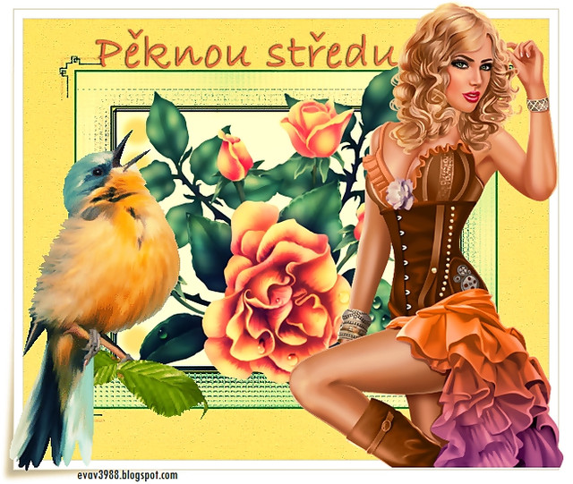 STŘEDA