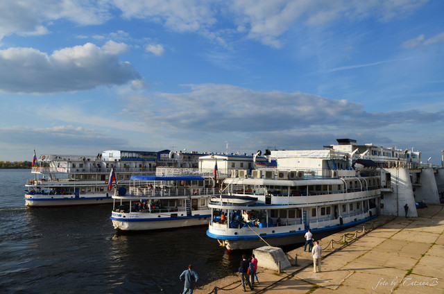 DSC-8237