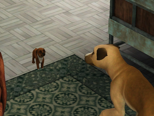 Screenshot-19