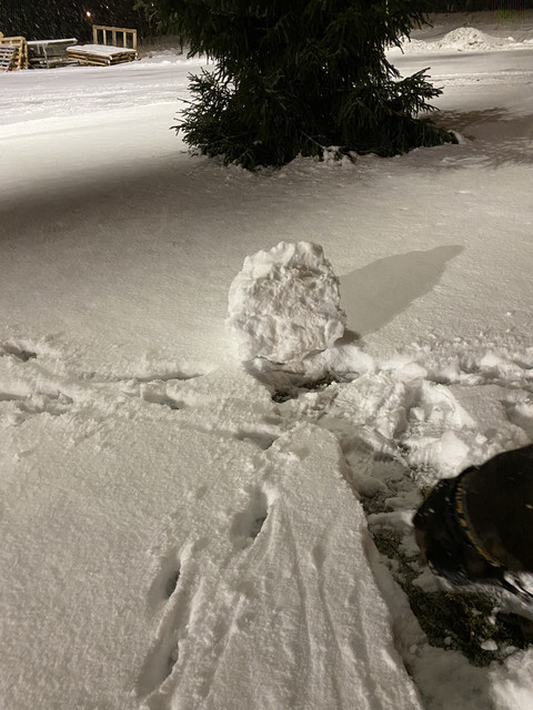 6-CE1-E16-B-0158-403-C-8-F0-A-D62-A5162-