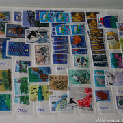 IMG-3766
