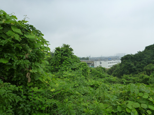 P1320047
