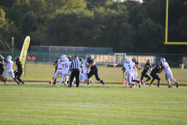 IMG-3894.jpg