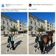 Horse