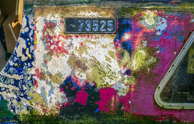 IMGP8473.jpg