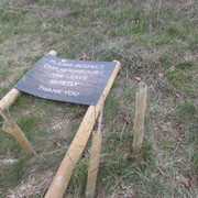 IMG-3662